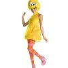 Sesame Street Big Bird Womens Costume -Mens Costumes Sales Store 11468DI