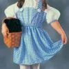 The Wizard Of Oz Dorothy Toddler Costume 1 The Wizard Of Oz Dorothy Toddler Costume -Mens Costumes Sales Store 17743