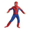 The Spectacular Spider-Man Animated Series Child Costume 1 The Spectacular Spider-Man Animated Series Child Costume -Mens Costumes Sales Store 32934