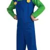 Luigi Costume 1 Luigi Costume -Mens Costumes Sales Store 340 768 RU883654