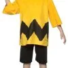 Peanuts Charlie Brown Kit Child Costume 2 Peanuts Charlie Brown Kit Child Costume -Mens Costumes Sales Store 390 768 GC427602
