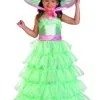 Southern Belle Costume