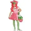 Deluxe Strawberry Shortcake Toddler/Child Costume -Mens Costumes Sales Store 60922 1