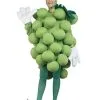 Green Grapes Costume For Adult 1 Green Grapes Costume For Adult -Mens Costumes Sales Store 6771