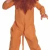 The Wizard Of Oz Cowardly Lion Child Costume 2 The Wizard Of Oz Cowardly Lion Child Costume -Mens Costumes Sales Store 7152