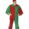 Adult Plus Size Complete Elf Costume