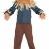 The Wizard Of Oz Scarecrow Child Costume 1 The Wizard Of Oz Scarecrow Child Costume -Mens Costumes Sales Store 7659