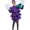 Unisex Purple Grapes Childs Costume 1 Unisex Purple Grapes Childs Costume -Mens Costumes Sales Store 9500CHPA