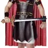 Gladiator Child Costume -Mens Costumes Sales Store CC00225