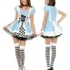 Fairy Tale Alice Adult Costume 2 Fairy Tale Alice Adult Costume -Mens Costumes Sales Store CH01592