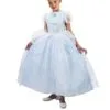 Cinderella Costume -Mens Costumes Sales Store DG5122L