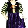 Fairy Tale Witch Toddler Costume