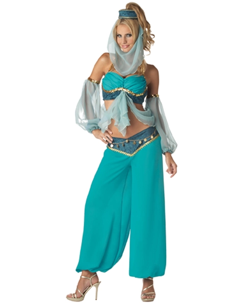 Elite Harems Jewel Costume For Adult 3 Elite Harems Jewel Costume For Adult
