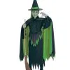 Kids Wicked Witch Costume 1 Kids Wicked Witch Costume -Mens Costumes Sales Store R18581 1