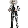 Grand Heritage Beetlejuice For Adult 2 Grand Heritage Beetlejuice For Adult -Mens Costumes Sales Store R56216