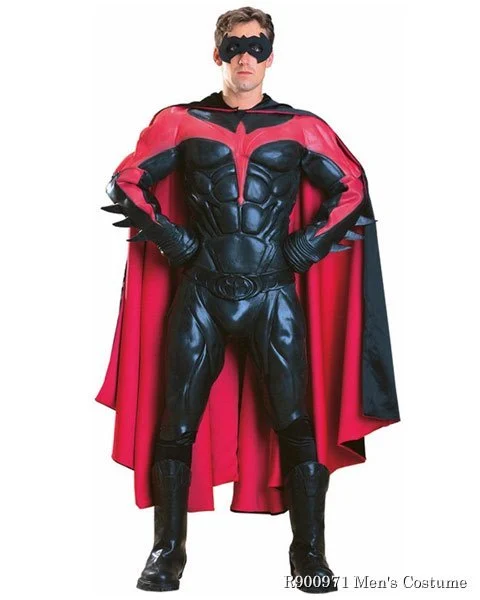 Collectors Robin Mens Costume 3 Collectors Robin Mens Costume