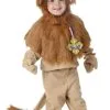 Toddler Storybook Lion Costume -Mens Costumes Sales Store child cowardly lion