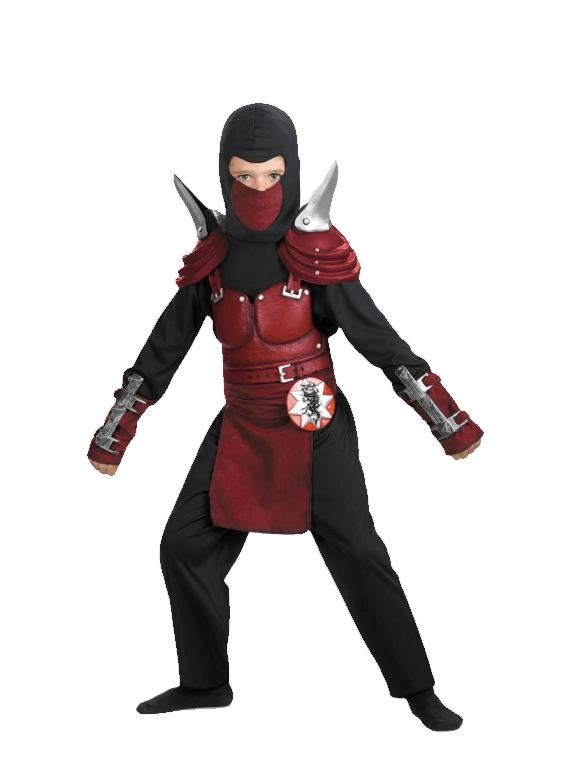 Blade Ninja Costume 3 Blade Ninja Costume