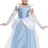 Cinderella Costume 1 Cinderella Costume -Mens Costumes Sales Store dg5025
