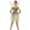 Tinkerbell Costume