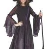 Witch Shimmering Child Costume -Mens Costumes Sales Store fw5888