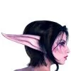 Night Elf Prosthetic Kit 1 Night Elf Prosthetic Kit -Mens Costumes Sales Store night elf kit