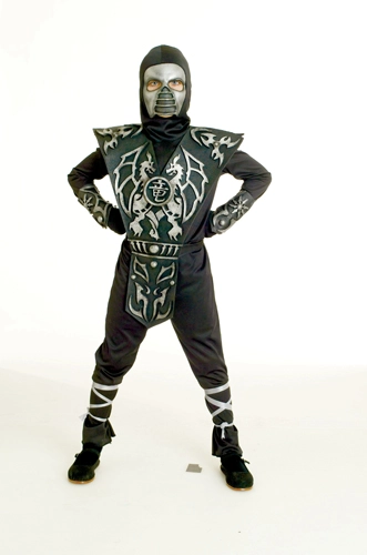 Ice Dragon Ninja Costume 3 Ice Dragon Ninja Costume