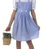 Tween Dorothy Costume